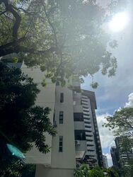 King's Mansion (D15), Condominium #468161981